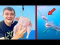 Can I Catch A Bull Shark On A Raw Chicken