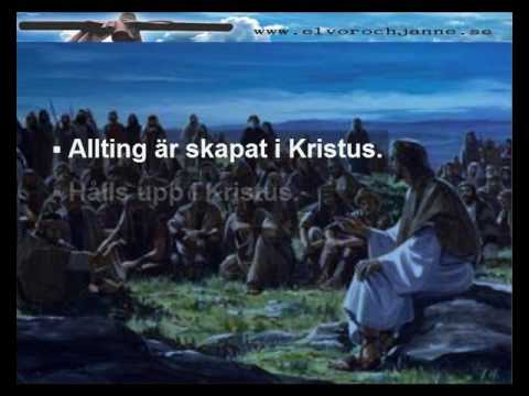 SR 01 Foraktet synsatt