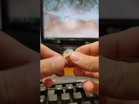 DIY 鍵盤維修 換鍵軸 簡單快速有效