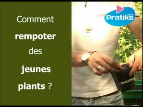 comment remplir un grand pot de fleur