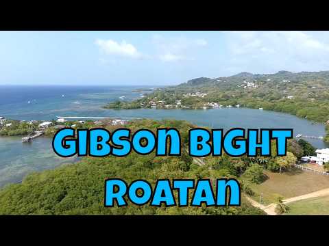 Gibson bight Roatán Honduras
