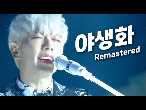 박효신 - 야생화 [Remastered] KBS 유희열의 스케치북 20161030 l Park Hyo Shin 'Wild Flower'