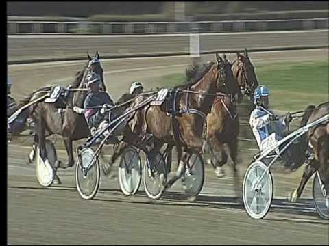 Trotto 19/02/2017 - 2ª corsa