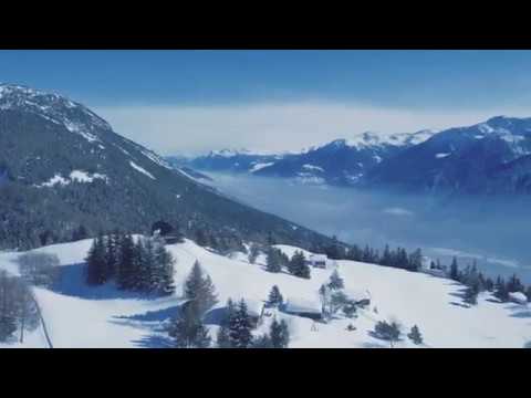 Grandeur Nature Aminona