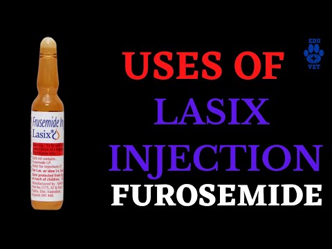 Frusemide Injection 2ml Amp 10 mg/ml (1x10Ampoule)