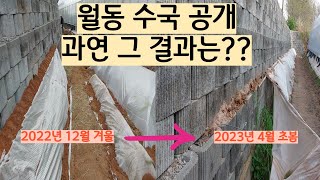월동수국공개!과연 그 결과는?