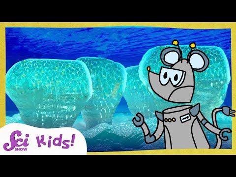 The Very First Living Thing! | The History of Life! | SciShow Kids
