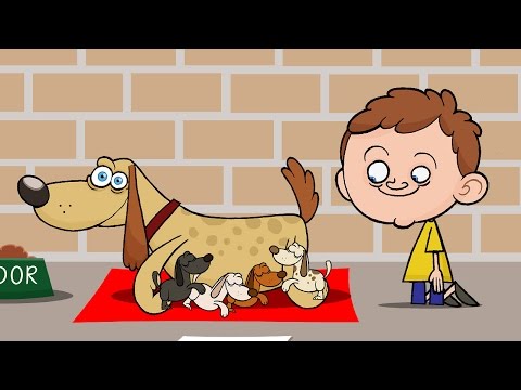 Tomi és a kutyus - Tomi mese