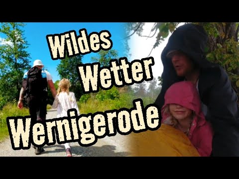 Wildes Abenteuer in Wernigerode | Wandern im Herzen des Harz | Harzer Wandernadel