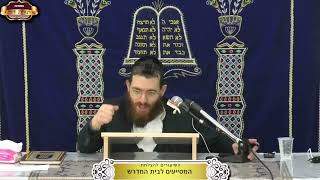 מכר לולב לחבירו בזול על דעת שהמקח קיים והתברר שהלולב פסול ¤ הרב משה שרם ¤ י"ב טבת תשפ"ו (1.1.2026) (מוסדות תורת דוד) - התמונה מוצגת ישירות מתוך אתר האינטרנט יוטיוב. זכויות היוצרים בתמונה שייכות ליוצרה. קישור קרדיט למקור התוכן נמצא בתוך דף הסרטון