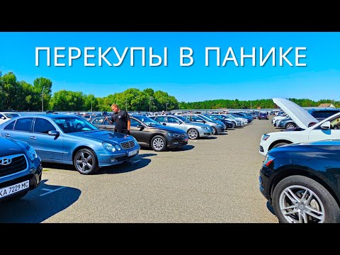 ЧАПАЕВКА 2026: ЦЕНЫ УПАЛИ? Я В ШОКЕ!