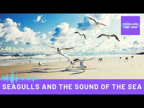 Meeresrauschen mit Möwen zum Entspannen - Ein Tag am Meer - Wellengeräusche ohne Musik