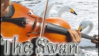 Download lagu 白鳥：サン＝サーンス Saint-Saëns-Le Cygne(The Swan) mp3