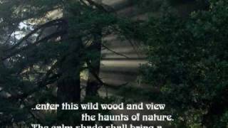 (29) Why you DON'T TOP trees