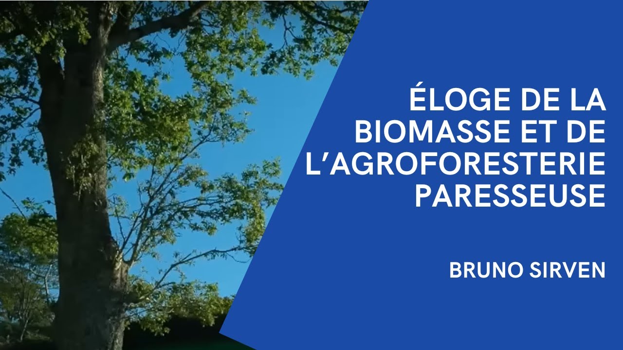 Éloge de la biomasse et de l’agroforesterie paresseuse par Bruno Sirven