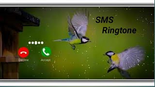Download lagu Birds sms ringtone / birds notification sound mp3 mp3