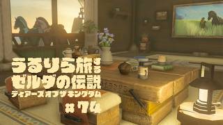 ついに念願のマイホームを購入したぞ！！ #74【ゼルダの伝説 ティアーズ オブ ザ キングダム Switch2エディション】