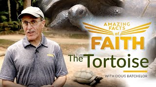Amazing Facts of Faith: "The Tortoise" with Doug Batchelor