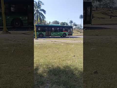 ¡LEO de CUBA 🇨🇺 Vía Blanca la Habana #shortsviral