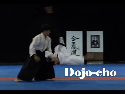 Ueshiba Mitsuteru Hombu Dojo-cho in Hungary 2019