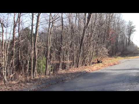 9 Stone Street GARDNER, MA