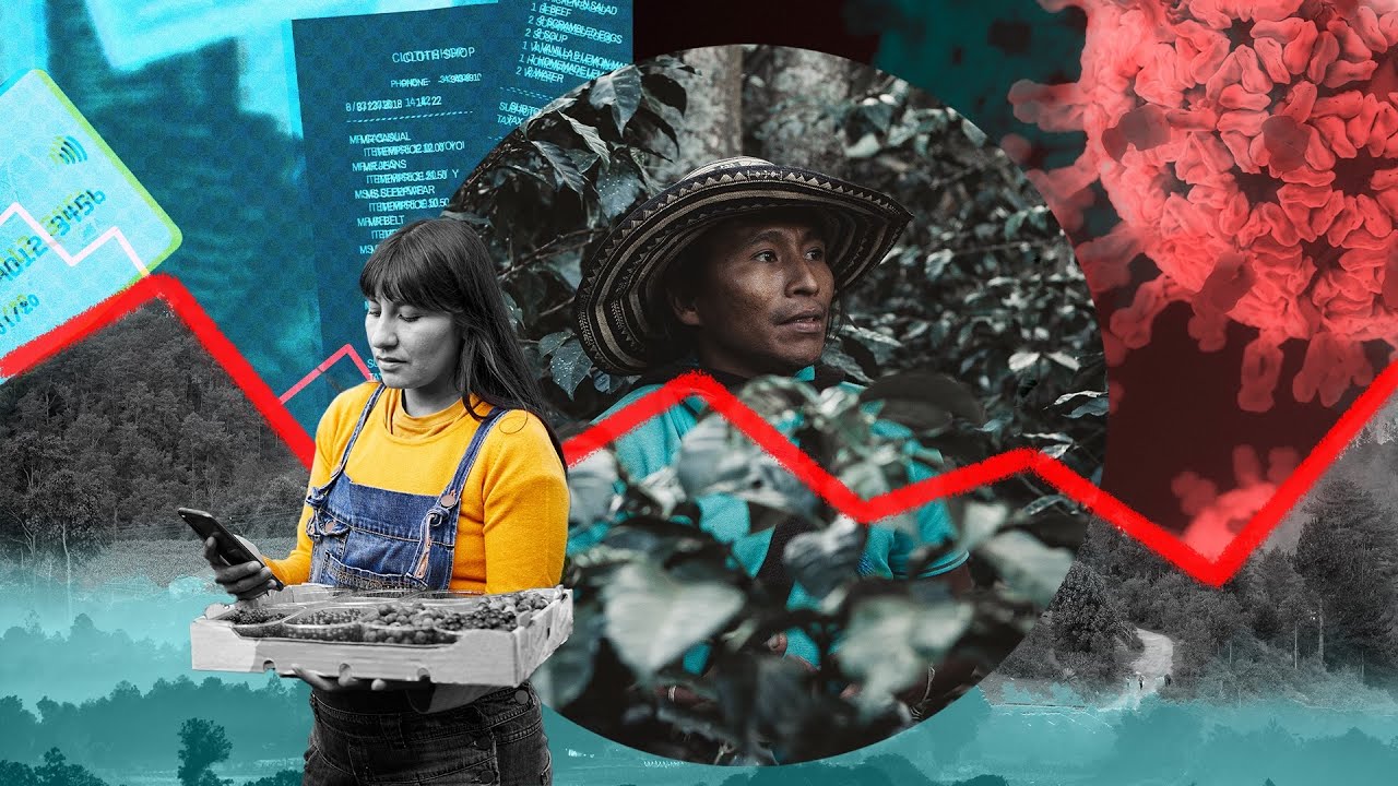 Pandemic-Driven MFI Digitization: Building Blocks or Shaky Foundations?