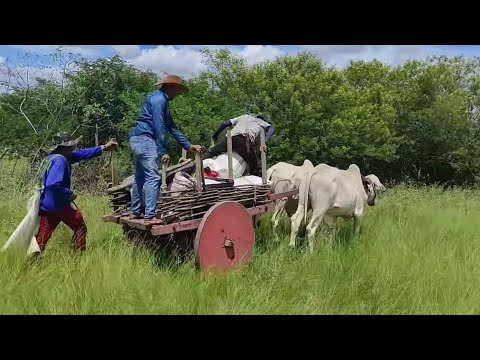 Visitando os agricultores do sítio chocalho em Serra talhada-Pe,Veja o carro de boi no sertão.