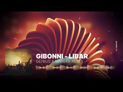 Gibonni - Libar ( Genius x Marekk Remix )