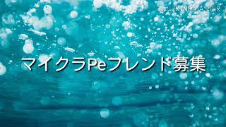 マイクラマルチ募集
