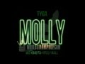 Tyga ft Wiz Khalifa and Mally Mall - Molly ...