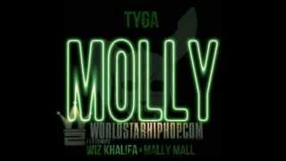 Tyga ft Wiz Khalifa and Mally Mall - Molly (Official Video)