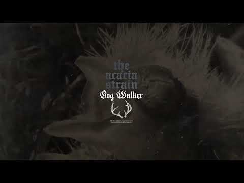 Video thumbnail for bog walker