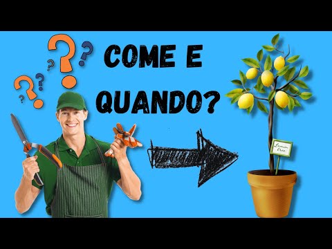 Tutti i nomi di candeggiare creme Decolorazione di pacchi di faccia molto efficace