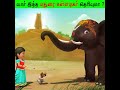 யார் இந்த மதுரை கள்ளழகர் தெரியுமா Who Is T