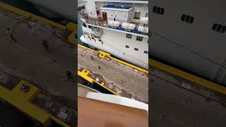 Looks like we have some Pier Runners 🏃‍♀️🤣🏃‍♀️#cruise #ncl #costamaya #mexico