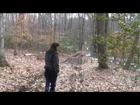 SAR Dog trains using a Runaway exercise