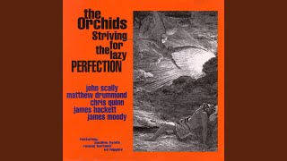 Striving For The Lazy Perfection