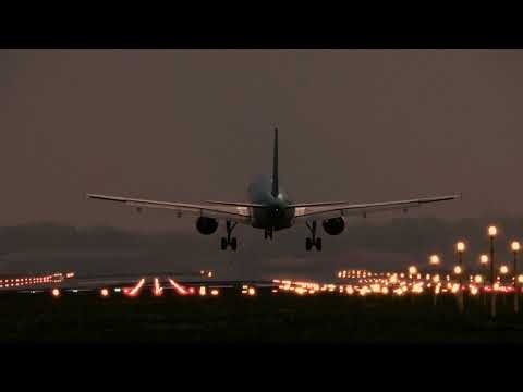 Friyie - Hand In The Rim (Official Video)