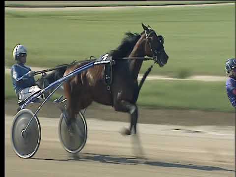 Trotto 13/05/2018 - 4ª corsa