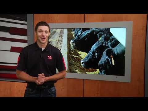 Cattle Producers Demanding Change to Beef Industry