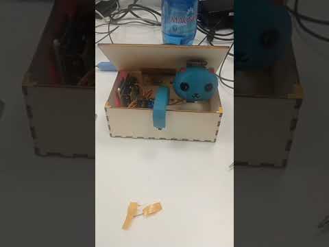 Watch the video