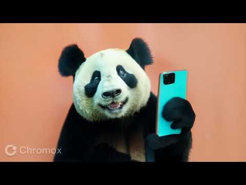 # chromax ai generate video # pratyaksha #Anvita