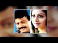 Damini Marathi Serial Title Track | DD Sahyadri | Kavita Krishnamurthy