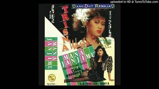 Download lagu TRISNA WARDHANI - DIUJUNG SUNGAI JERUJU mp3