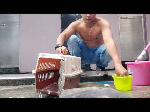 MISS YOU MILKY😢😢😢