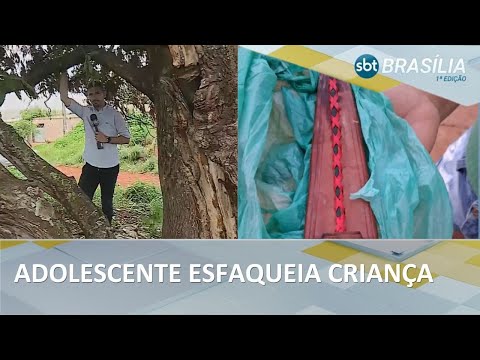 Criança é esfaqueada por adolescente enquanto estava em árvore | SBT Brasília 1ª Edição