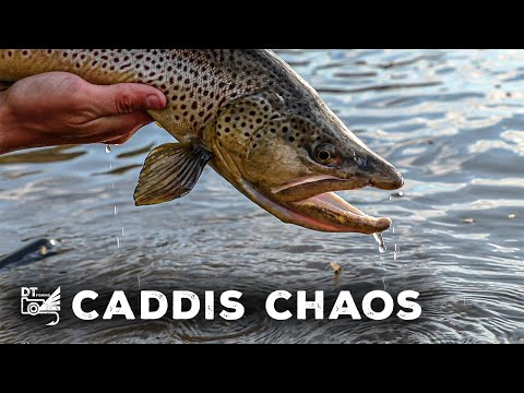 The LEGENDARY Mother's Day Caddis Hatch (Epic Fly Fishing)