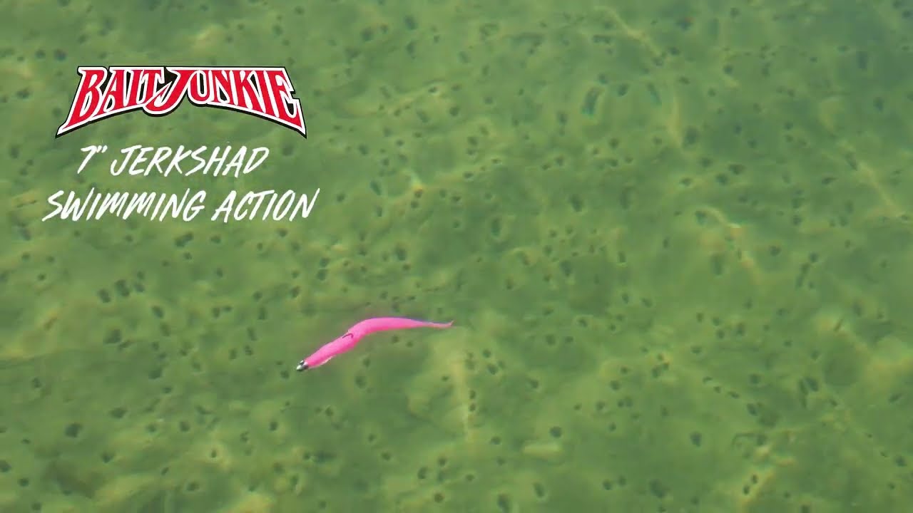 Daiwa Baitjunkie 7Inch Jerkshad Soft Plastics video thumbnail