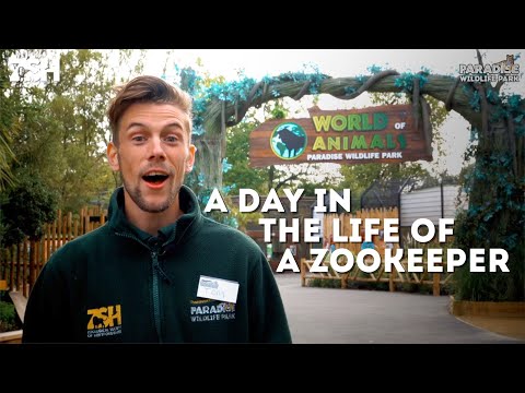 A Day In The Life Of A Zookeeper