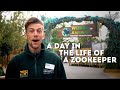 A Day In The Life Of A Zookeeper